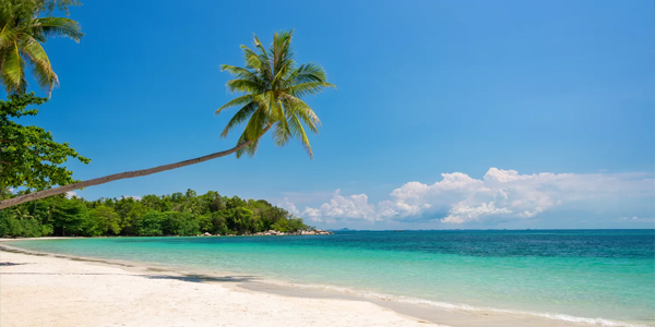 Bintan Island is known for its pristine beaches, rich culture, and delicious food.